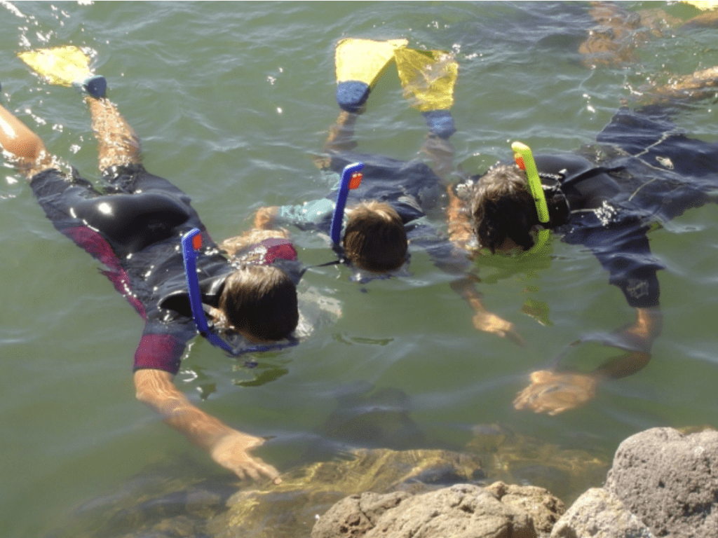 10 Things to Do in Northland in Summer